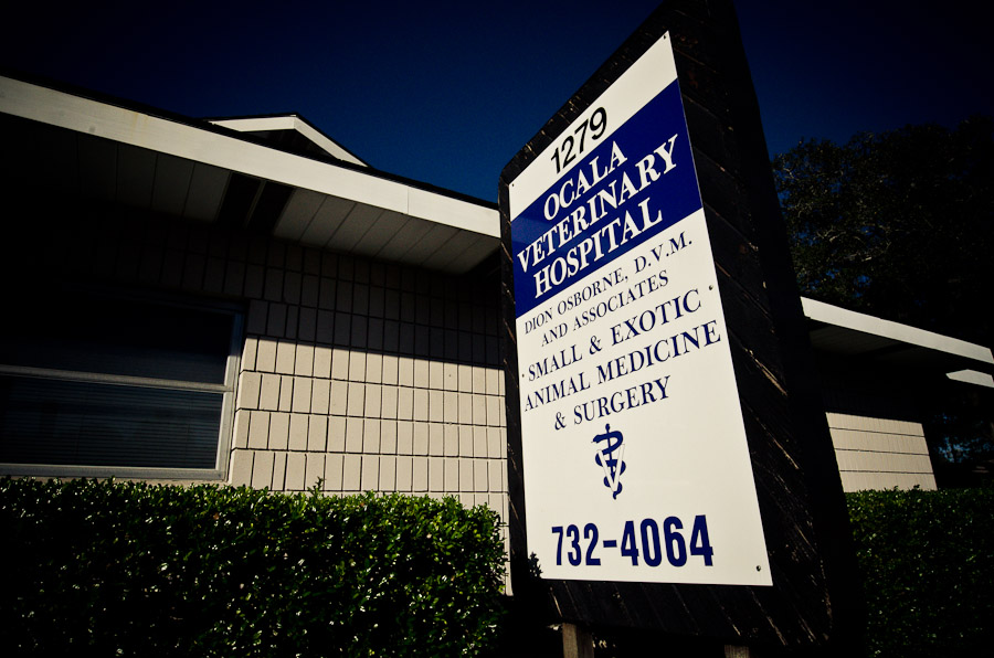 ocala-veterinary-hospital-9