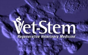 ocala-veterinary-hospital-vet-stem