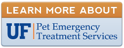 Visit the UF Pet Emergency Treatment Services in Ocala