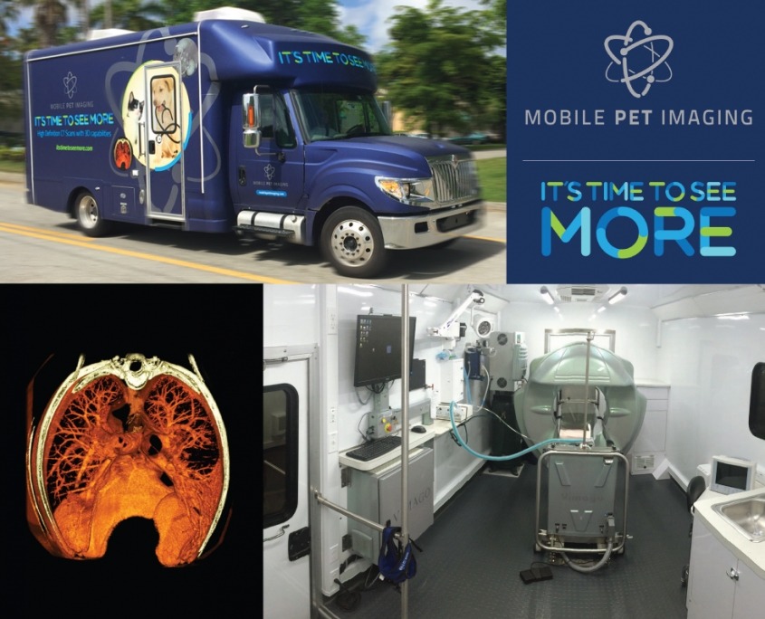 to Ocala Veterinary Hospital Ocala Veterinary Hospital