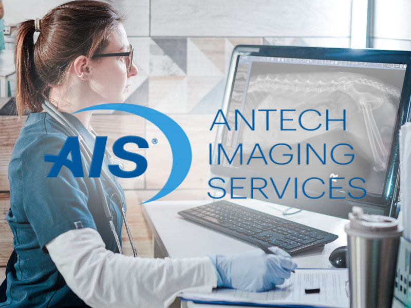 Antech Imaging Services (AIS®)