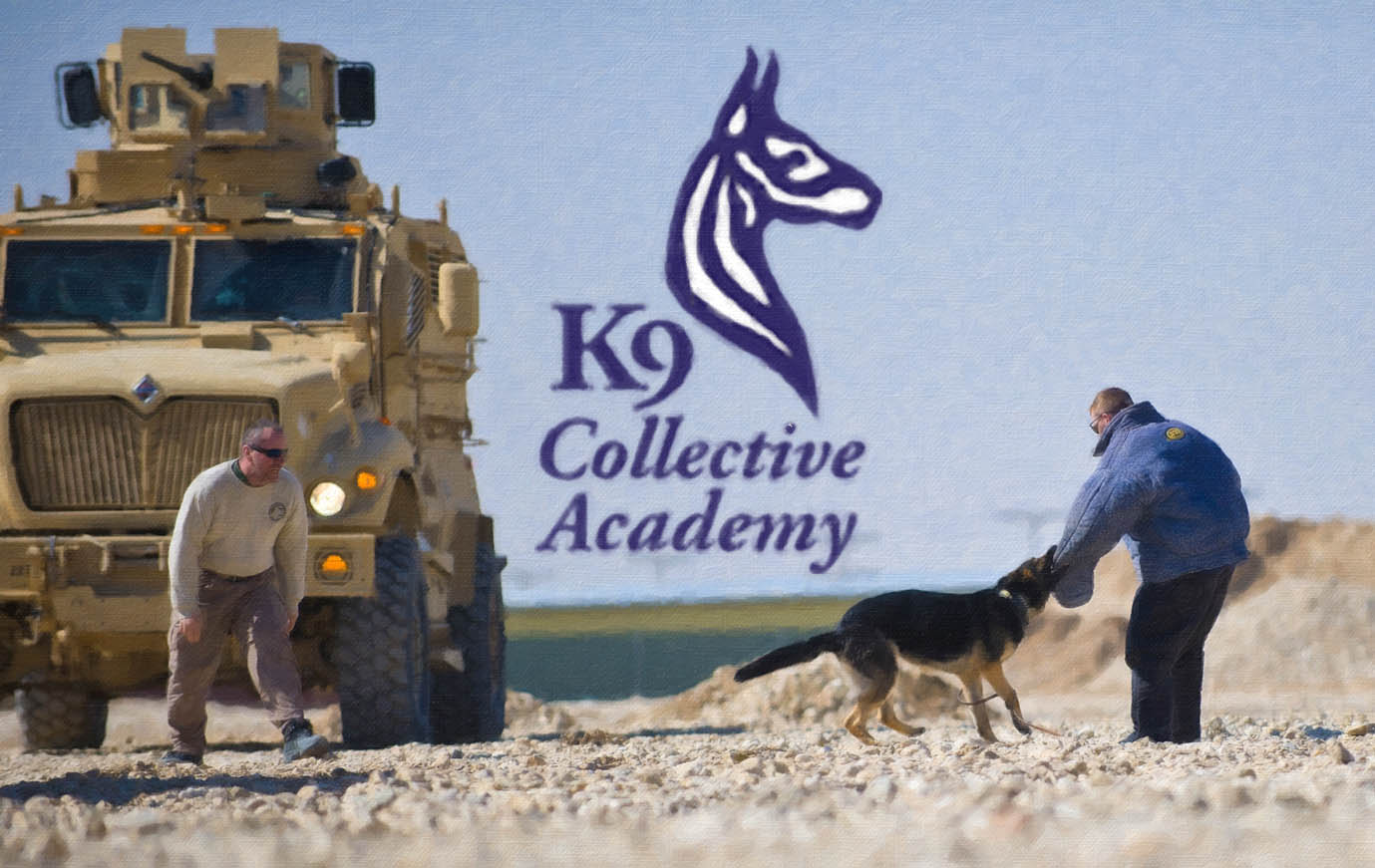 Dog Training at the K9 Collective Academy Ocala Veterinary Hospital