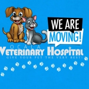 All Posts Ocala Veterinary Hospital